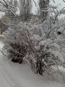 Фото альбом зима Донецк адвокат