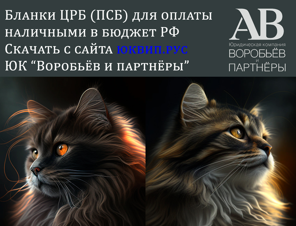 ЦРБ ДНР ПСБ бланк платежного поручения новый 2023 (апрель) скачать
