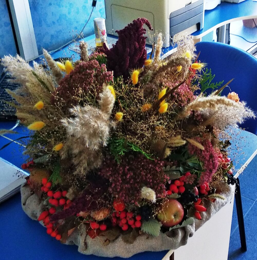 Юристы и адвокаты Донецка Поздравление с 1 сентября