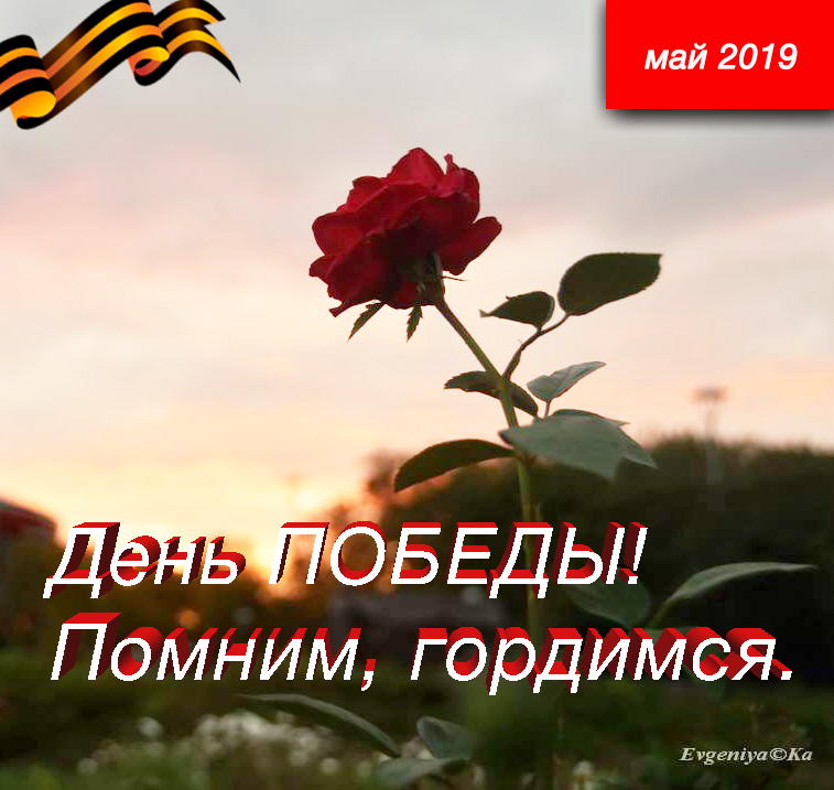 День Победы 2019 09 мая. Помним и гордимся.
