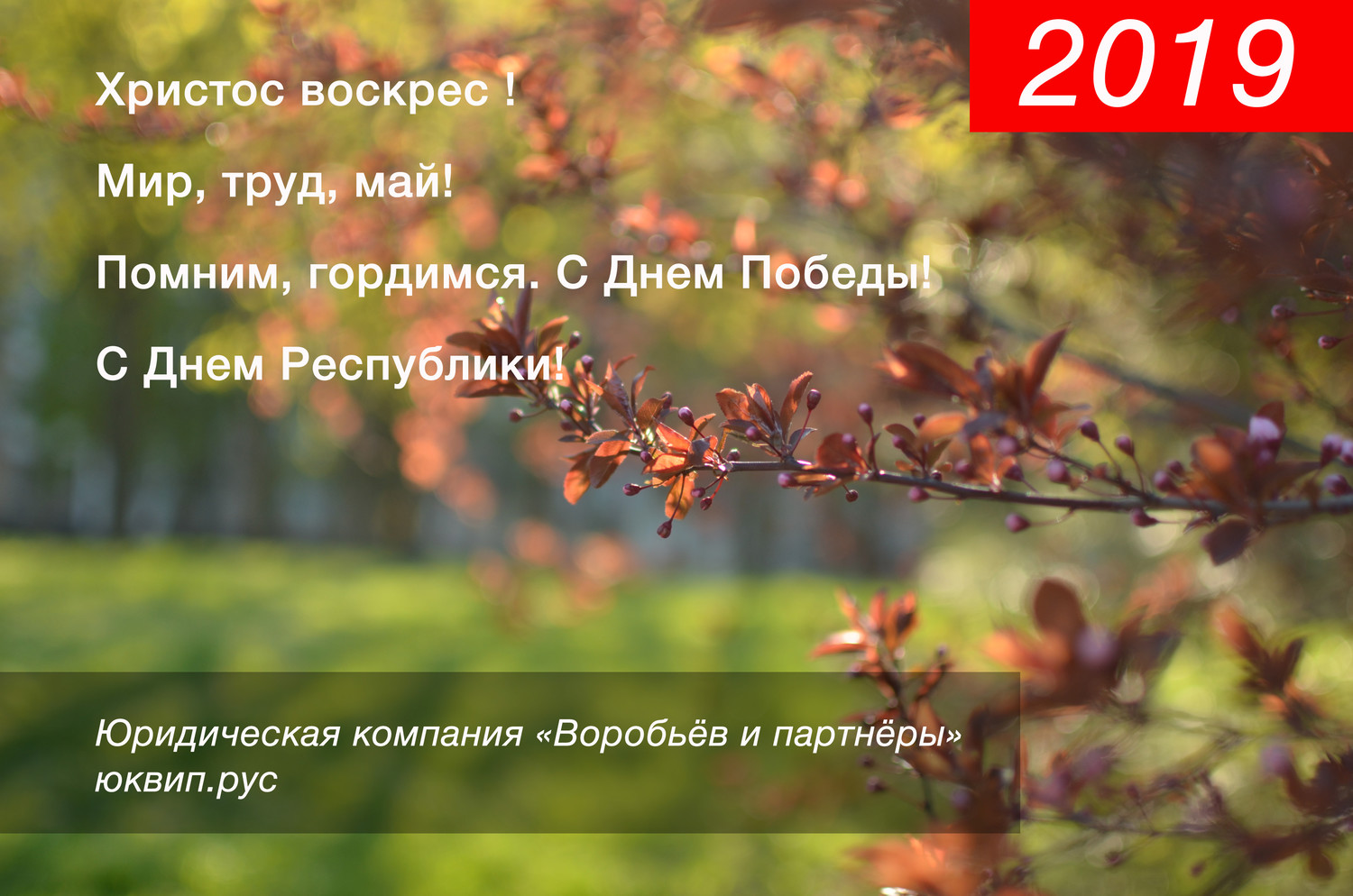 Главные новости Донецка за апрель 2019 года от адвокатов Юридической компании 